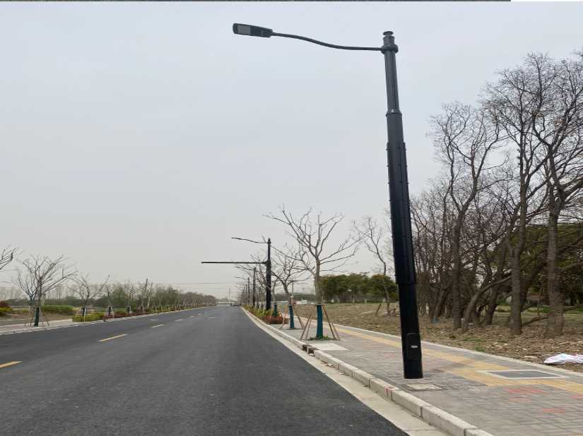 漳浦县上海综合杆 太阳能路灯工程
